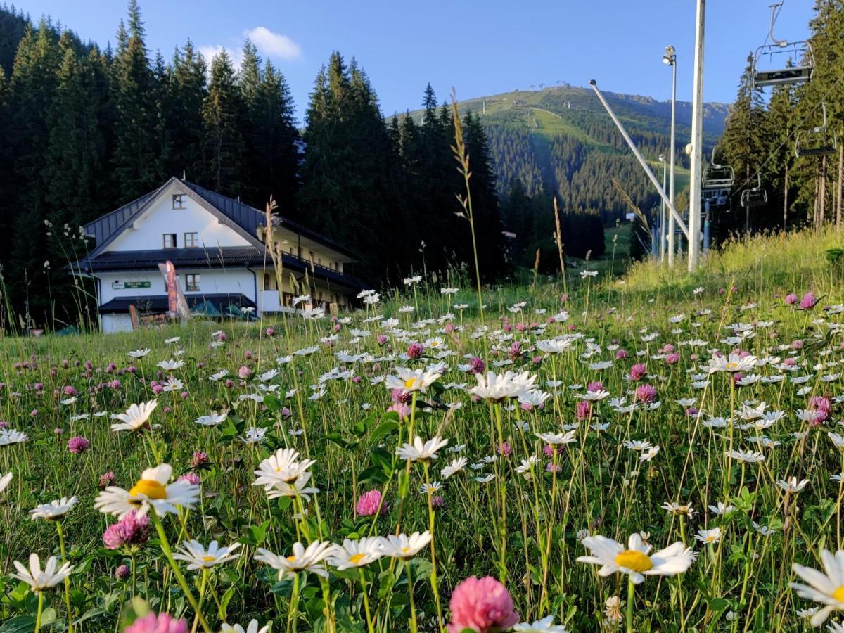 Apartmany Biela Put - Jasna Nr. 8 Demänovská Dolina Dış mekan fotoğraf